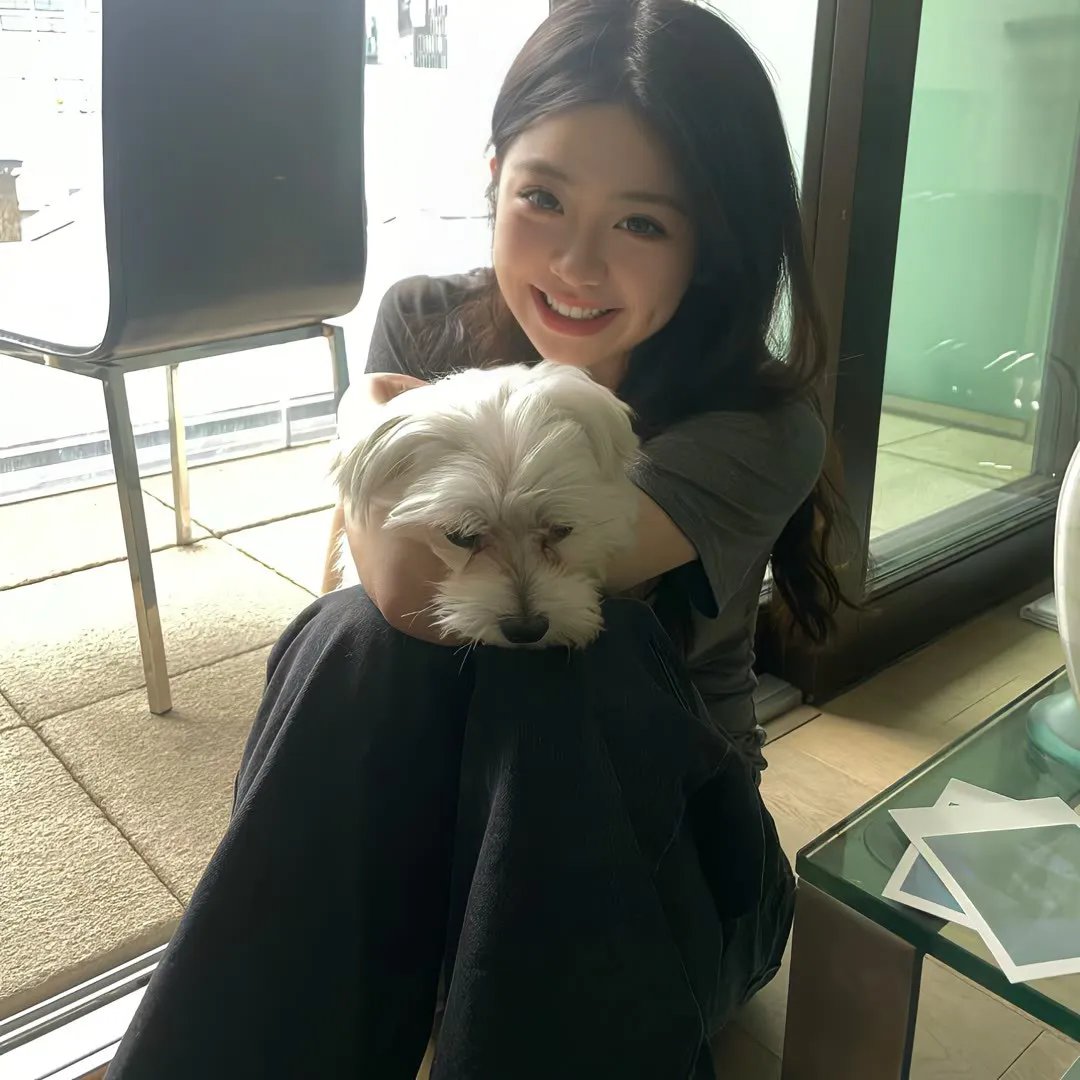 头号外交官第二季